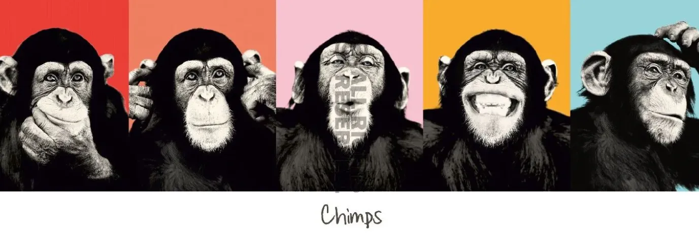 NANU-NANA Jumboposter The Chimp - Pop, Nr. 36