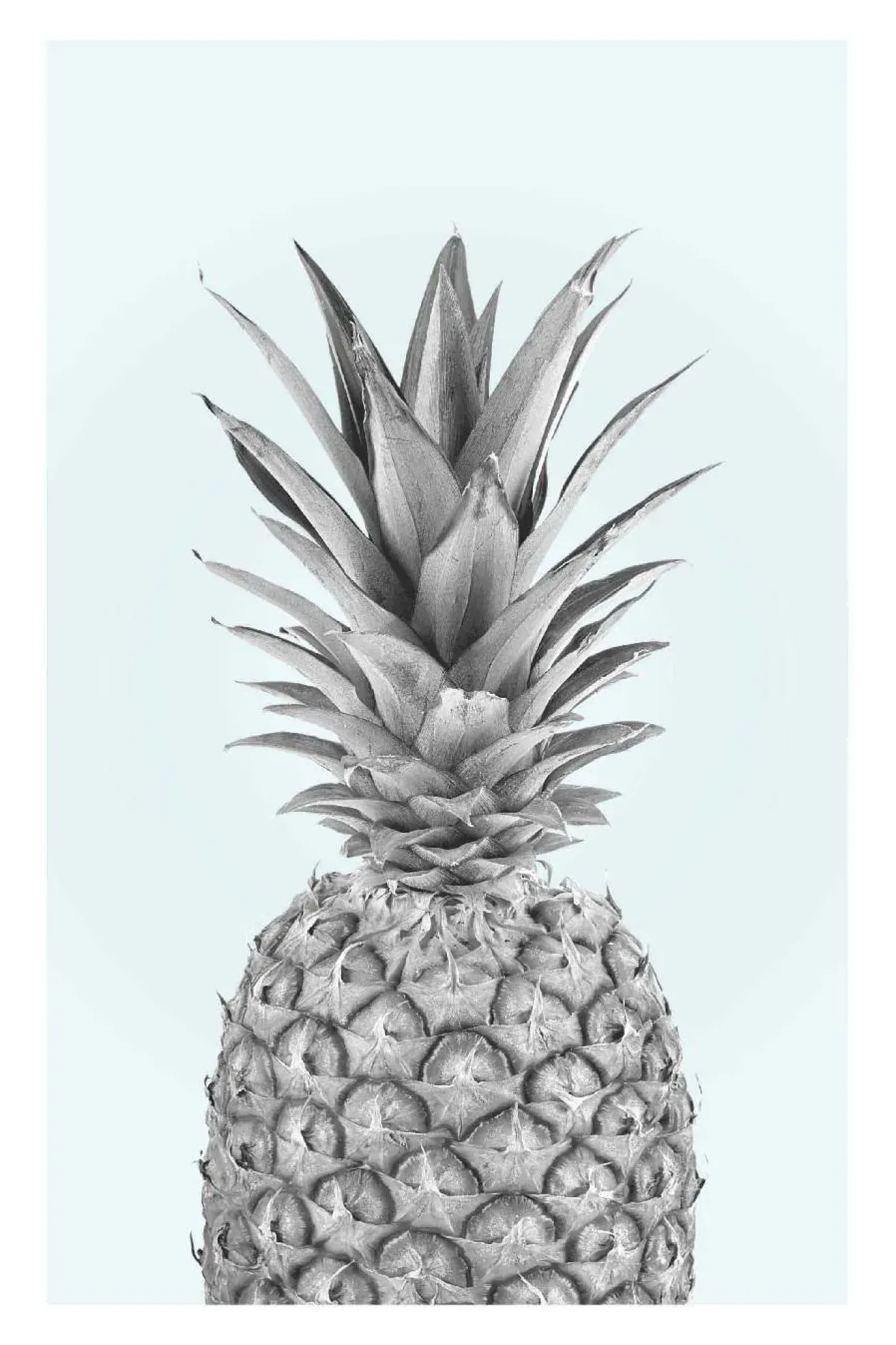 NANU-NANA Poster Pineapple, Nr. 51