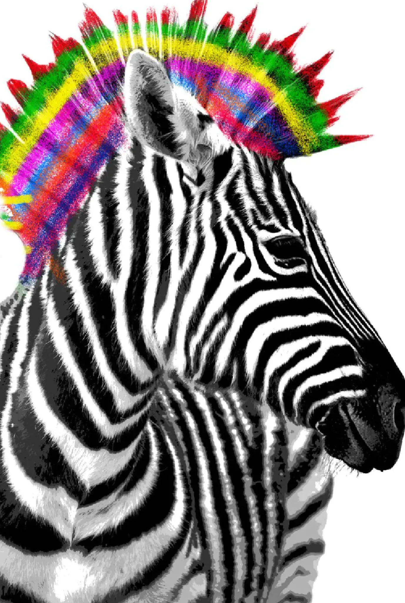 NANU-NANA Poster Zebra Punk, Nr. 238