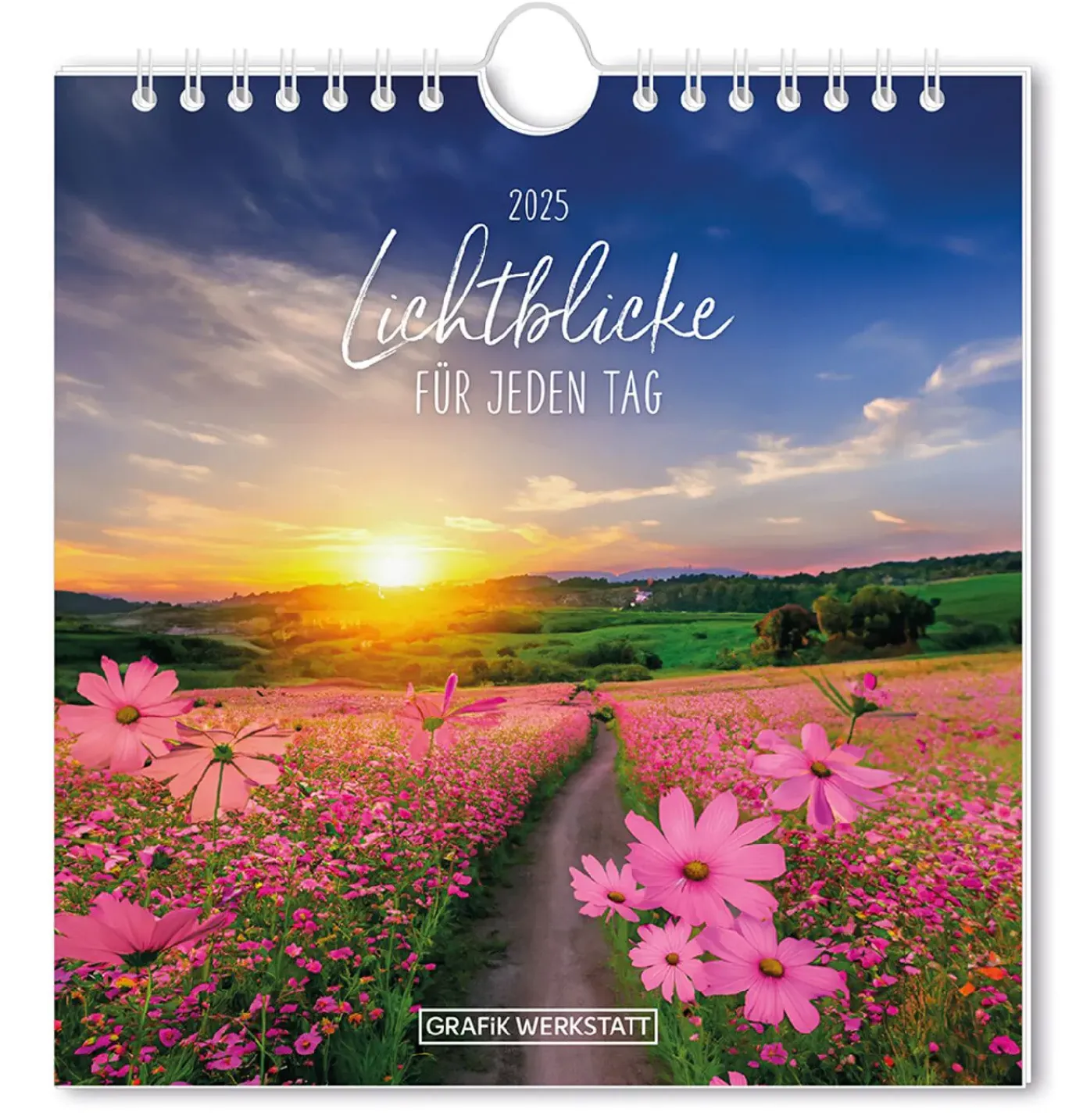 NANU-NANA Postkarten Kalender, 2025, Lichtblicke